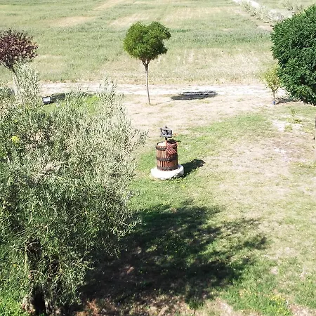 Azienda Agrituristica Bocci *